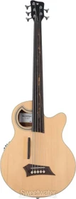 Warwick RockBass Alien Deluxe 5-String Fretless