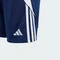 adidas Tiro 24 Trainingshose kurz team navy blue 2/white (Junior) Vorschaubild