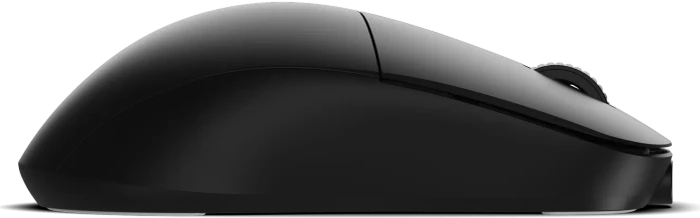 Endgame Gear XM2w 4k Wireless Gaming Mouse schwarz, USB