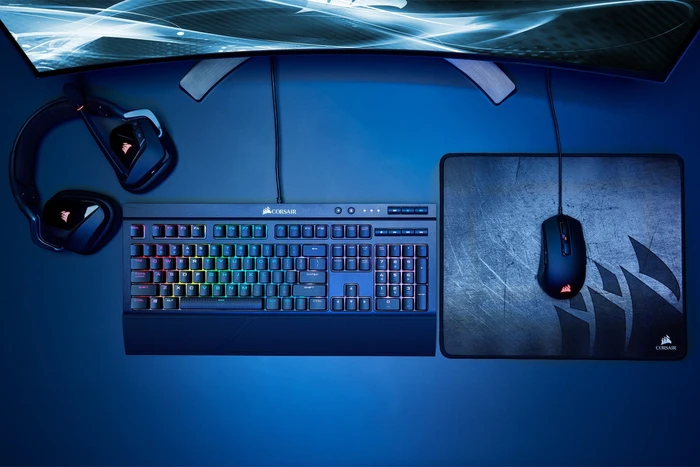 Corsair M55 RGB PRO schwarz, USB