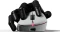 Pulsar Gaming Gears ZywOo The Chosen Wireless weiß, USB Vorschaubild