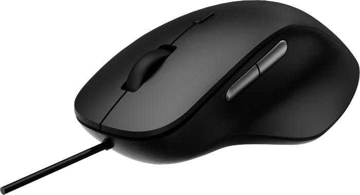 Rapoo N500 Silent Mouse schwarz, USB