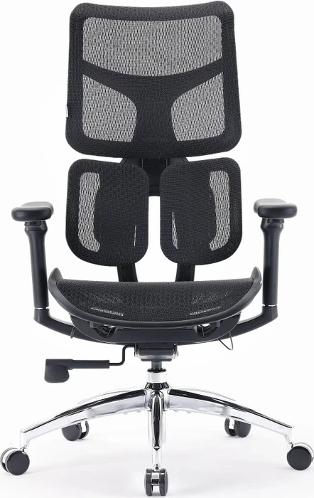 Sihoo Doro S100 Ergonomischer Bürostuhl, schwarz