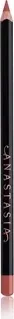 Anastasia Beverly Hills Lip Liner dusty rose, 1.5g