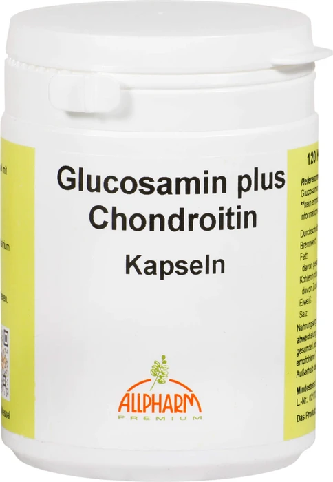 GLUCOSAMIN + CHONDROITIN, 120 St