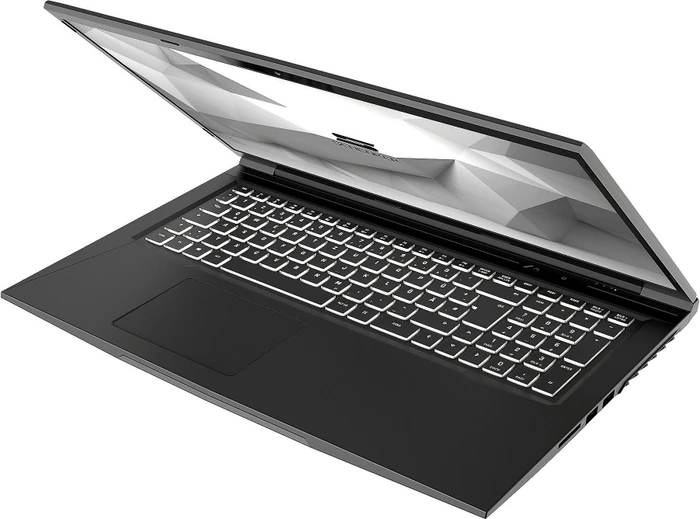 Schenker Media 17-E20fxp E20fxp, Core i7-10750H, 16GB RAM, 1TB SSD, GeForce RTX 2060, DE