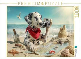 Calvendo Dalmatiner Hund auf Schatzsuche am Strand mit Karte und Kamera