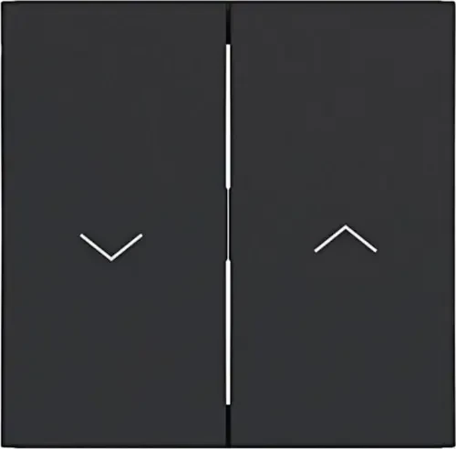 Hager Wippe 2fach mit Aufdruck Symbol Pfeil, A.x/C.x, nachtschwarz matt
