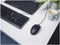 Trust TM-101 Optical Mouse schwarz, USB Vorschaubild
