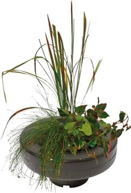 SuperFish Floating Plant Basket schwimmender Teich-Pflanzenkorb 22cm