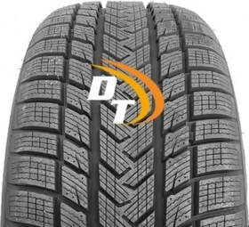 Gripmax Status Pro W 205/55 R17 95V XL