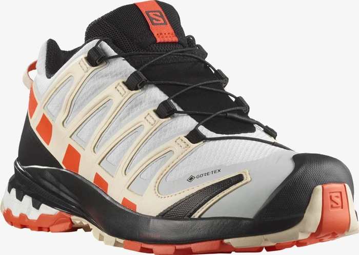 Salomon XA Pro 3D V8 GTX lunar rock/cherry tomato/sun kiss (Damen)