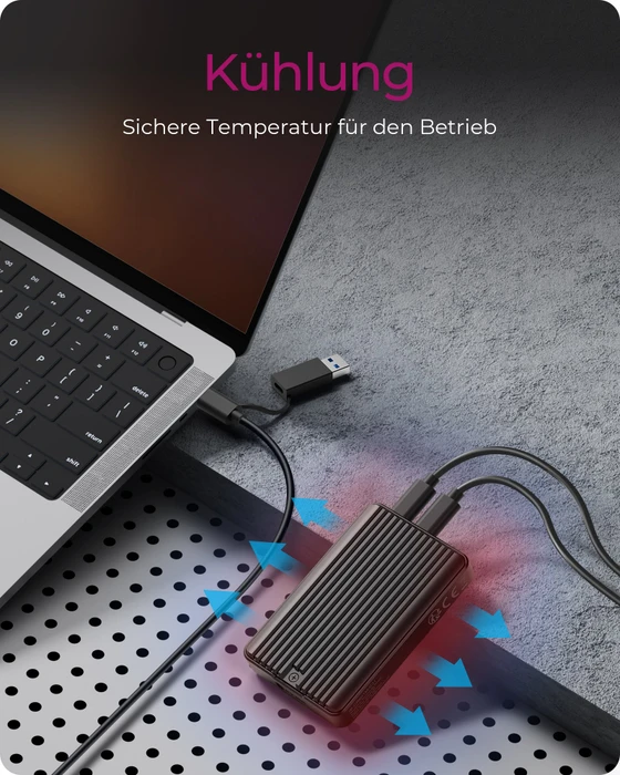 RaidSonic Icy Box IB-CR601M-C31, USB-C 3.1