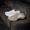 adidas Adizero Evo SL cloud white/warm sandstone (Herren) Vorschaubild
