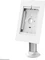 Neomounts Tischhalterung, Tablet-Stand 7.9-11", weiß Vorschaubild