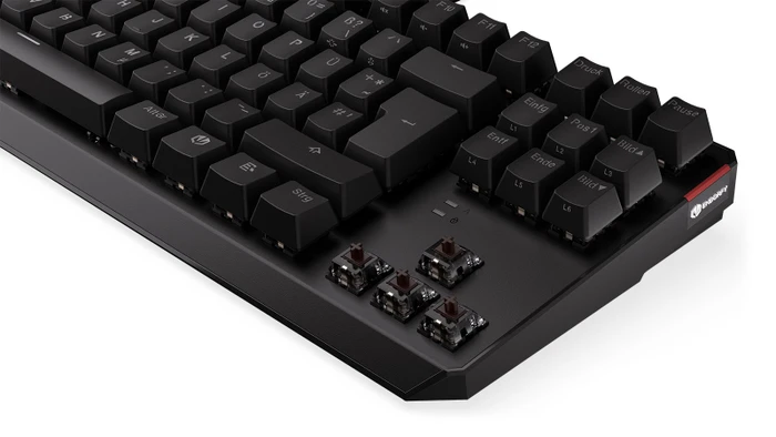 Endorfy Thock TKL, PBT, LEDs RGB, Kailh BROWN, USB, DE