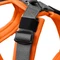 Hunter Geschirr Maldon Up, S-M, orange/grau Vorschaubild