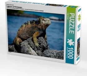 Calvendo Ein Motiv aus dem Kalender Leguane auf Galapagos
