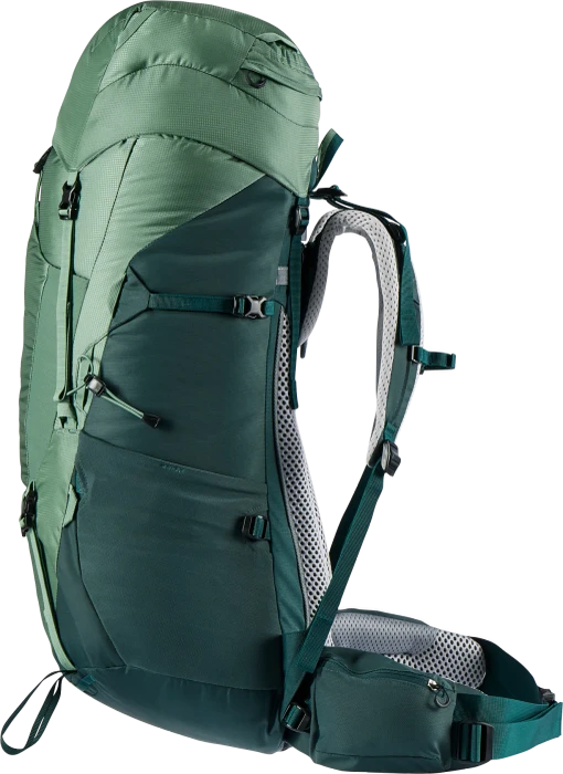Deuter Aircontact Lite 60+10 SL aloe/forest (Damen)