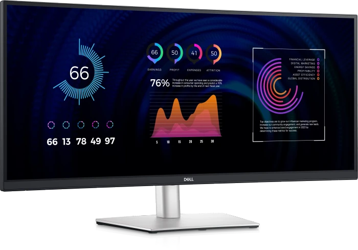 Dell P-Serie 2024