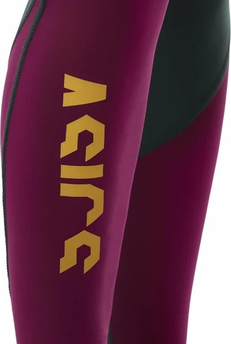 Asics FuzeX Highwaist Tight Laufhose lang hampton green/prune (Damen)