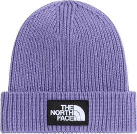 The North Face Box Logo Cuff Beanie grounded plum (Junior)