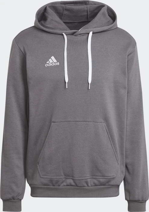 adidas Entrada 22 Sweat Hoodie team grey four (Herren)