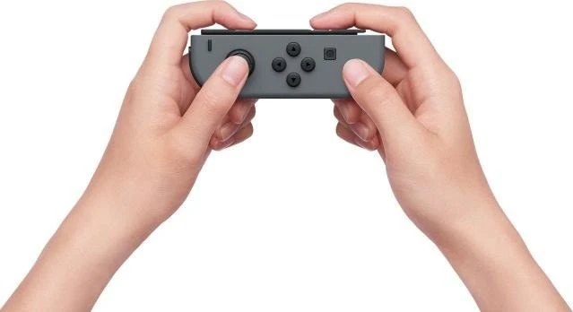 Nintendo Switch (2019) schwarz/grau