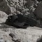 adidas Terrex Hydroterra core black/grey four Vorschaubild