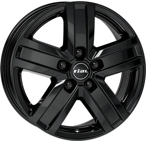 rial Transporter 6.5x16 (verschiedene Farben/Modelle)