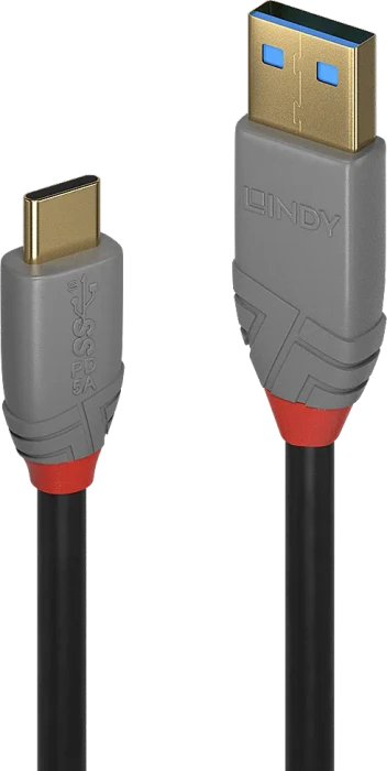 Lindy USB 3.1 Kabel, USB-C [Stecker] auf USB-A [Stecker], 0.5m, grau
