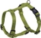 Nobby Classic Geschirr M-L Vorschaubild