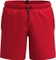 Arena Evo II 41.5cm Badeshorts (Herren) Vorschaubild