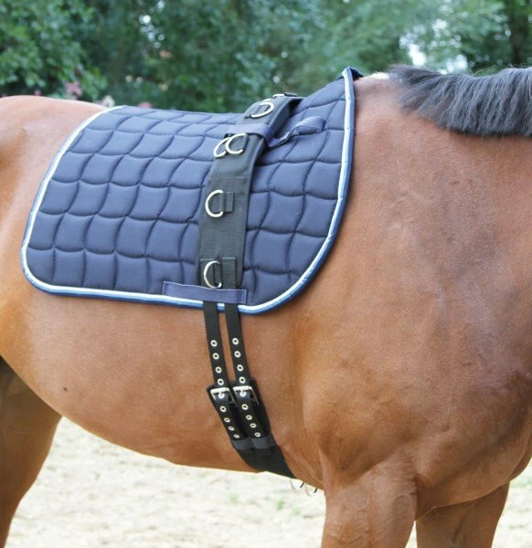 Kerbl Longiergurt Warmblut, 170-210cm (32339)