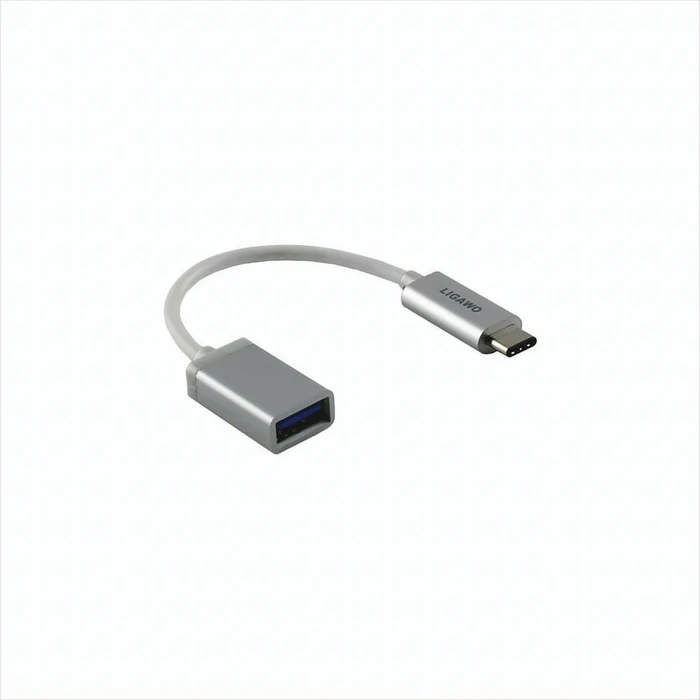 Ligawo USB-C Adapter silber