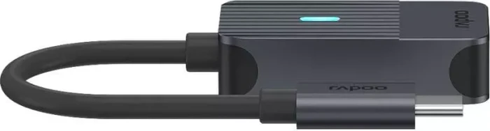 Rapoo UCA-1005 DisplayPort Adapter, 1x USB-C 3.0 [Stecker]