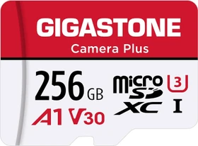 Gigastone Camera Plus R100/W60 256GB Kit, UHS-I U3, A1, Class 10
