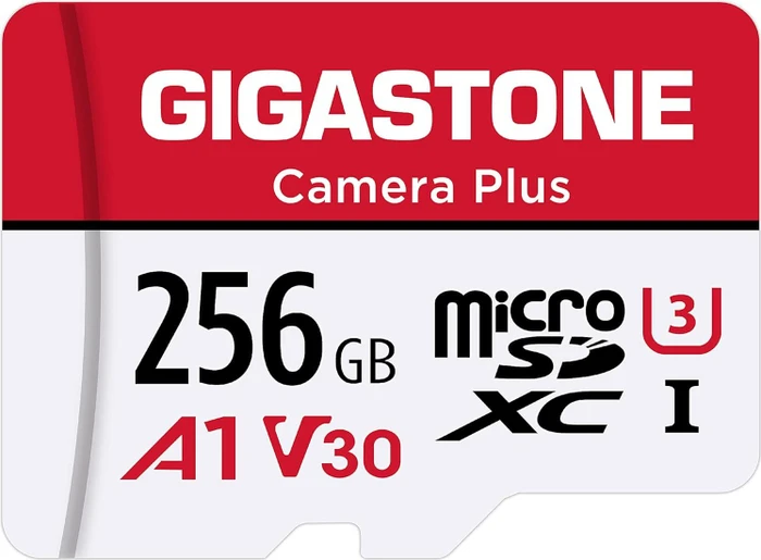 Gigastone Camera Plus R100/W60 256GB Kit, UHS-I U3, A1, Class 10