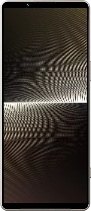 Sony Xperia 1 V silber
