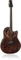 Ovation Elite Plus Celebrity Super Shallow Tiger Eye Vorschaubild