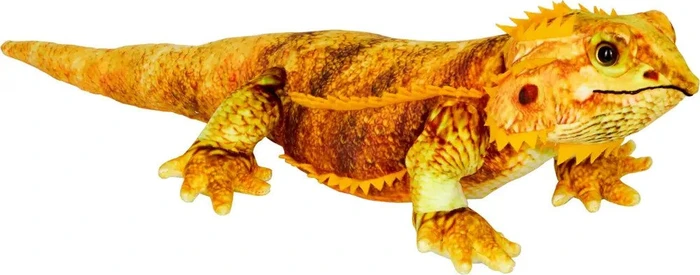 Coppenrath Nature Zoom Wild - Bartagame 50cm