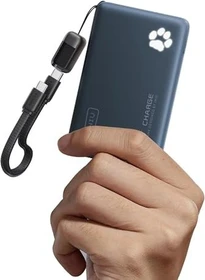INIU BI-B41 Powerbank 45W 10000mAh schwarz