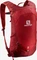 Salomon Trailblazer 10 chili pepper/red dahlia/ebony Vorschaubild