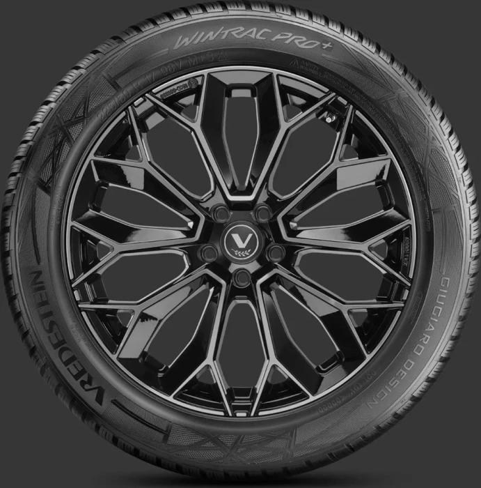 Vredestein Wintrac Pro+ 215/65 R17 99V