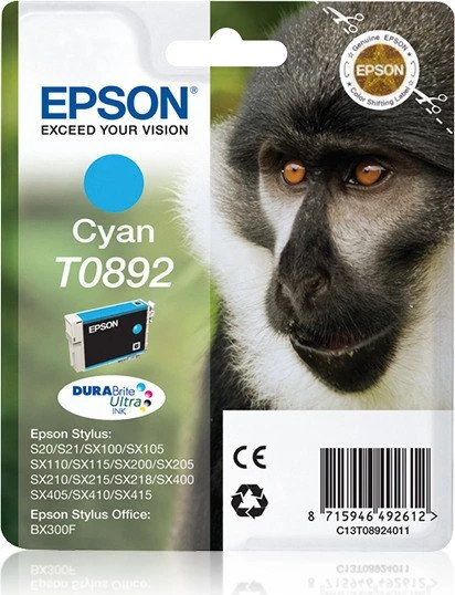 Epson Tinte T089