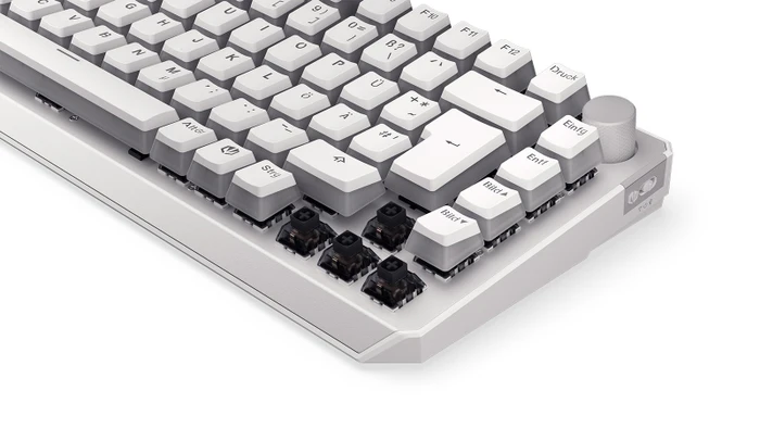 Endorfy Thock 75% Wireless Pudding, Onyx White, PBT, LEDs RGB, hot-swap, Kailh Box BLACK, USB/Bluetooth, DE