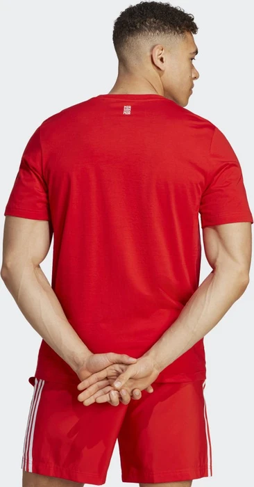 adidas FC Bayern München DNA Graphic T-Shirt kurzarm rot (Herren)
