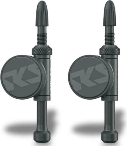 SKS Airspy Reifendrucksensor