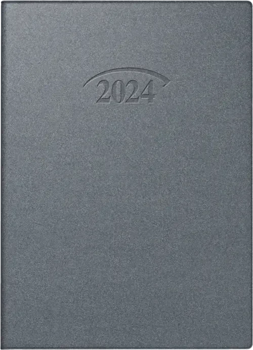 Brunnen Modell 736 Taschenkalender Tageskalender 2024, 100x140mm, Kunststoff-Cover, silber, 184 Blatt
