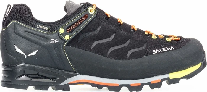 Salewa Mountain Trainer GTX (Herren)